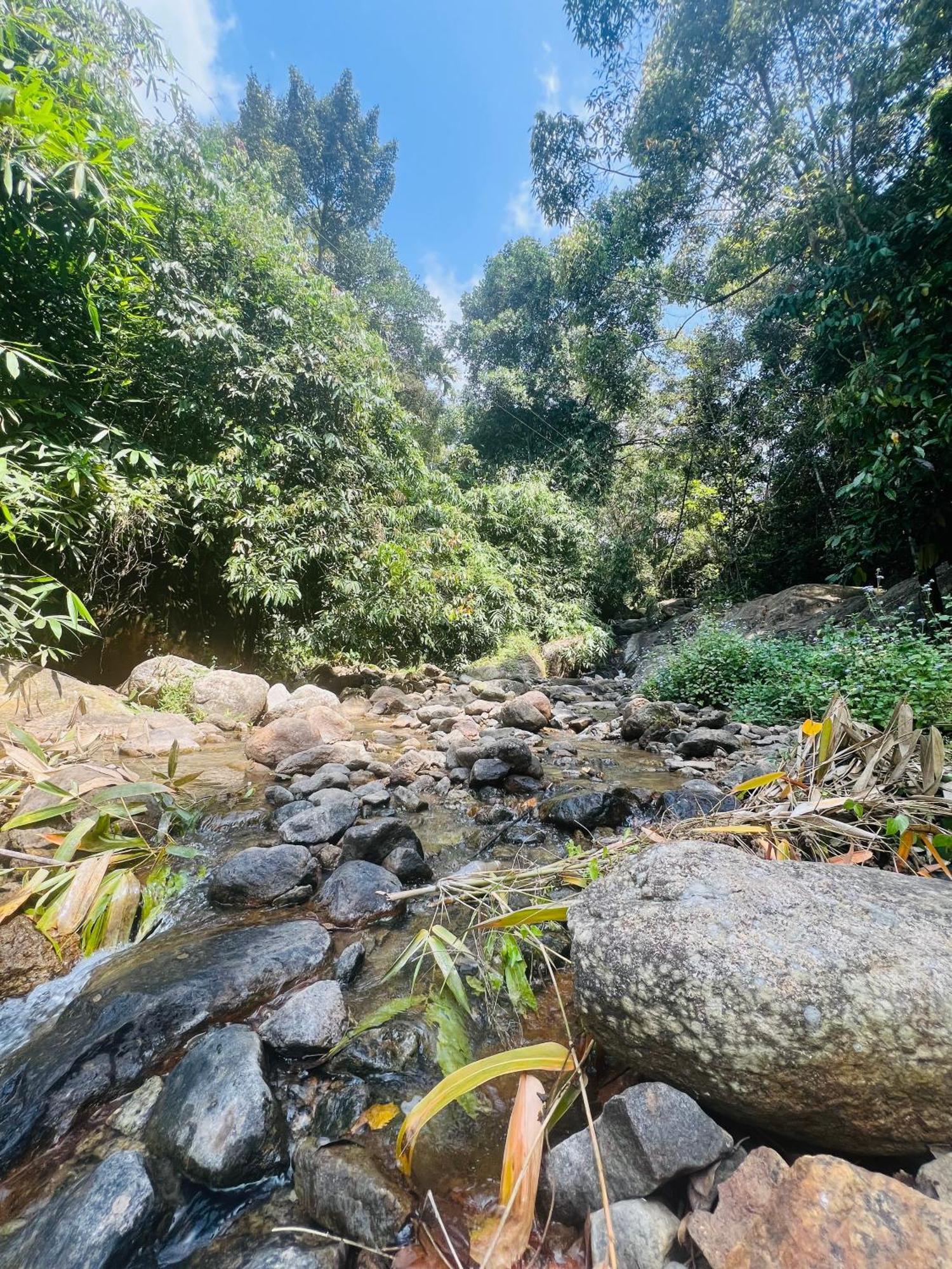 Mount Court Munnar Hotel Eksteriør billede