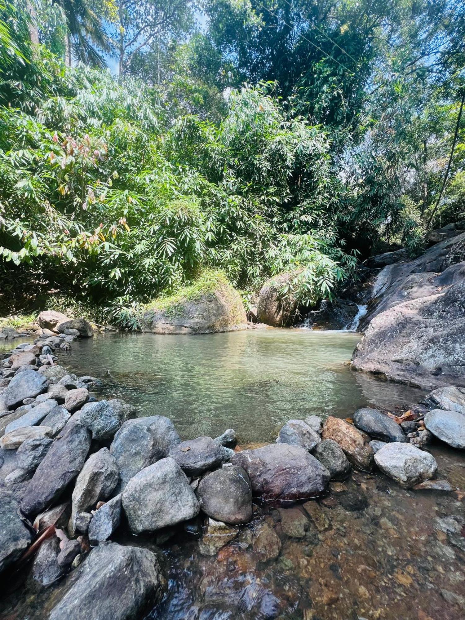 Mount Court Munnar Hotel Eksteriør billede